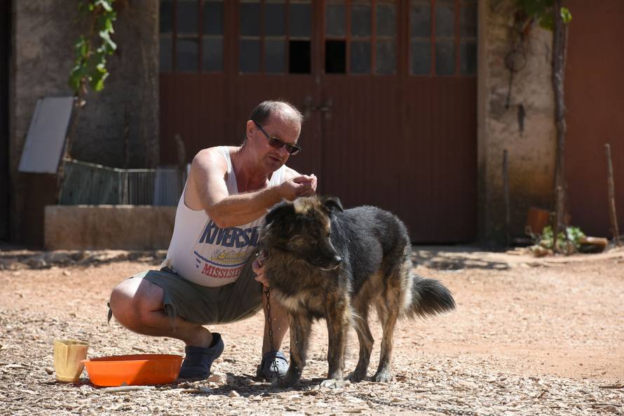 Dao 25.000 kn za vještačenje Mede, a ništa se nije provelo