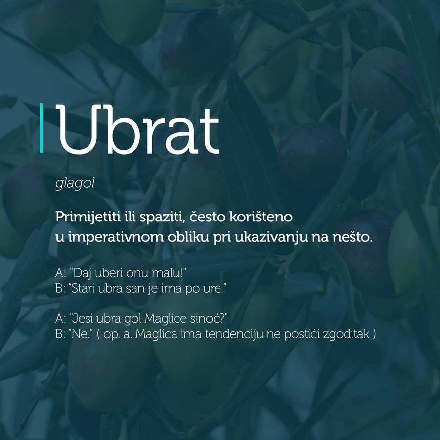 Asti Gospe! Iz dišpeta nejden u program: Džepni rječnik  čestih dalmatinskih izraza