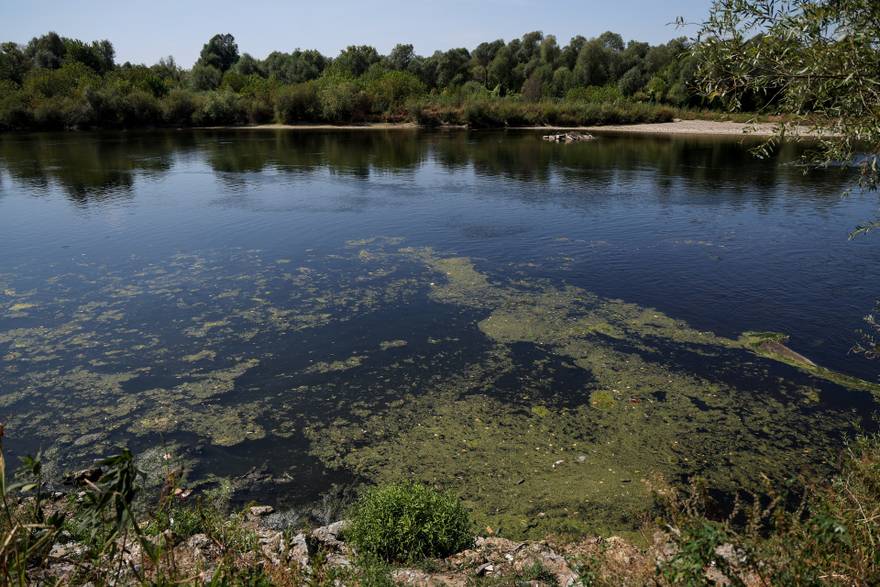U Savi potvr&dstrok;en pomor ribe. Dr&zcaron;avni inspektorat provodi nadzor: Uzeli uzorke vode i ribe
