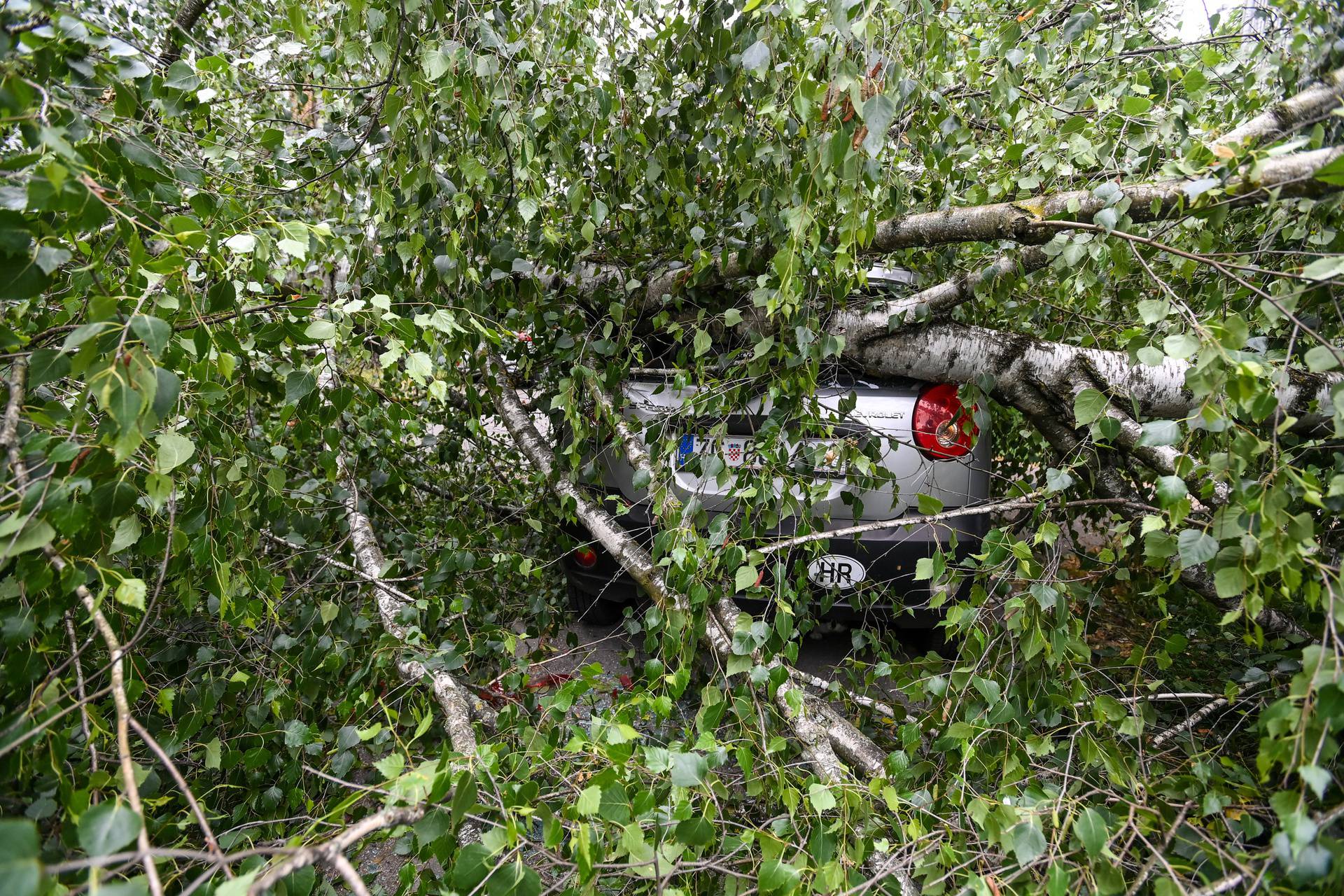 Zagreb: Olujni vjetar srušio stablo na cestu, tri automobila oštećena 