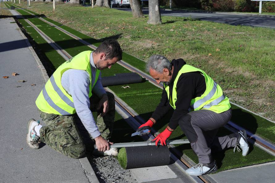 Postavljanje dekorativne zelene podloge na tramvajskoj pruzi u Osijeku