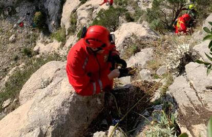 Drama na Biokovu: Lovac sa psima ostao zaglavljen u stijeni