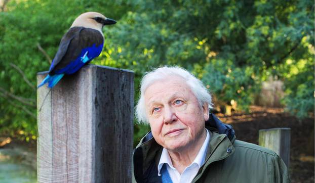 Sir David Attenborough at London Zoo.