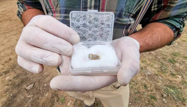 Georgian archaeologists show a 1.8-million-year-old tooth found near Orozmani