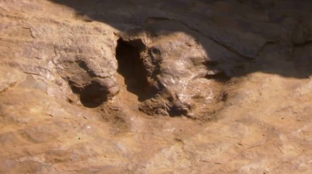 Otkrili su tragove dinosaura stare čak 145 milijuna godina