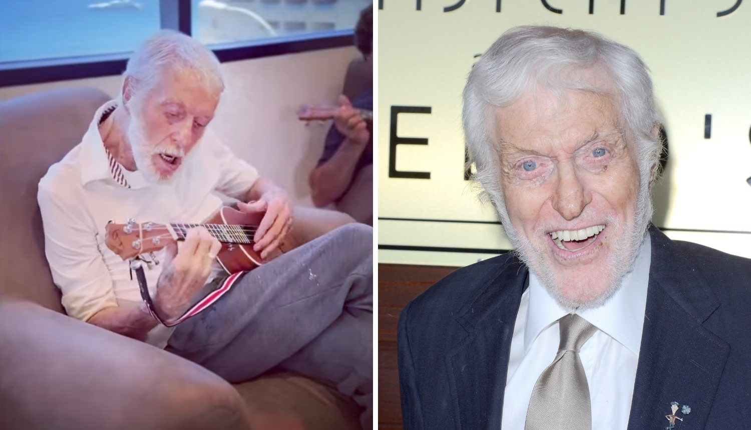 Godine mu ne mogu ništa: Dick Van Dyke (97) ima novi hobi...