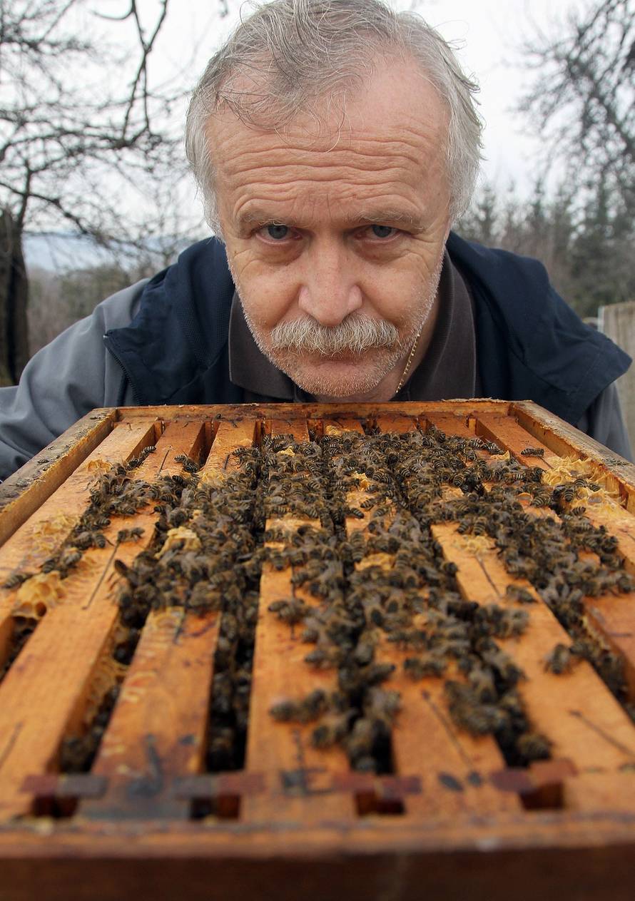 Željko Hladika/PIXSELL