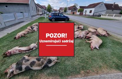 Slavonski poljoprivrednici su ogorčeni: 'Ovo je samo čavao u lijes, pokopali su poljoprivredu'