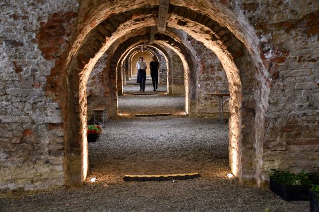 FOTO Sve je šareno i veselo! Brođane čeka sajam cvijeća