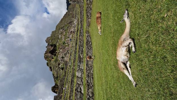 FOTO Par iz Dalmacije motorima obišao cijelu Južnu Ameriku: Pogledajte te prirodne ljepote!
