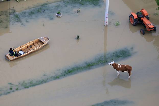 ARHIVA - 2014. Katastrofalne poplave u Gunji