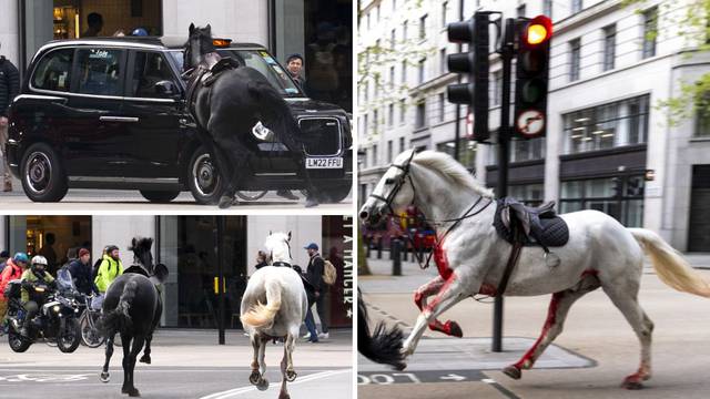Kaos u Londonu: Konji pobjegli s vojničkih vježbi, sudarali se s autima. Jedan vojnik ozlijeđen