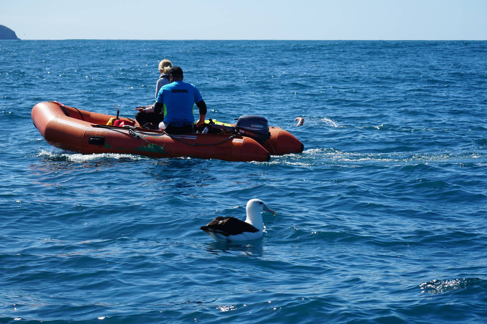 Novi veličanstven uspjeh Dine Levačić, preplivala opasni zaljev u Africi! 'Vidjeli smo tek tuljane'