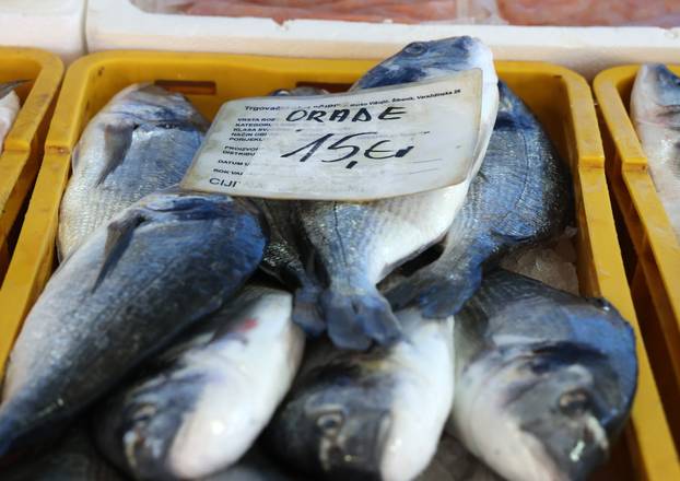 Šibenik: Ponuda ribe na ribarnici