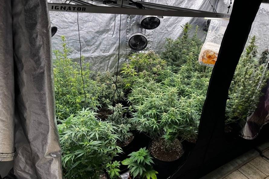 FOTO Velika akcija na obali: Policija od Solina do Hvara uhitila čak sedam dilera