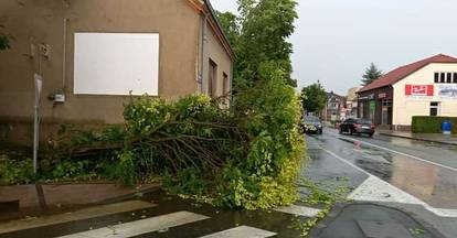 FOTO Pogledajte koliku je štetu napravilo jako nevrijeme u Sisačko-moslavačkoj županiji