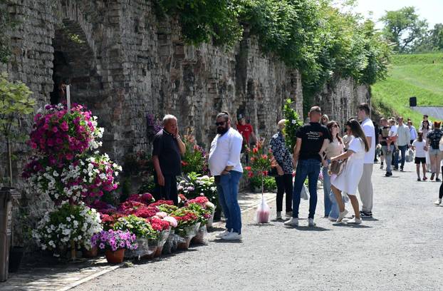 Slavonski Brod: Sajam cvijeća, sadnica, presadnica i cvijetnih dekoracija - Florafest 2026.