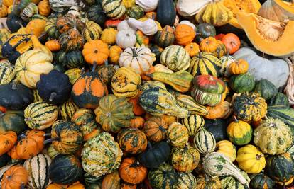 Stiže nam Bučijada! Dođite i uživajte u jesenskim okusima