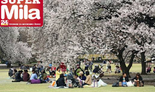 Tokio - upoznajte i vi nježniju stranu užurbana diva Japana