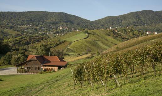 Uživanje uz vrhunsku kapljicu usred zelenila odmor je kakav nam svima treba...