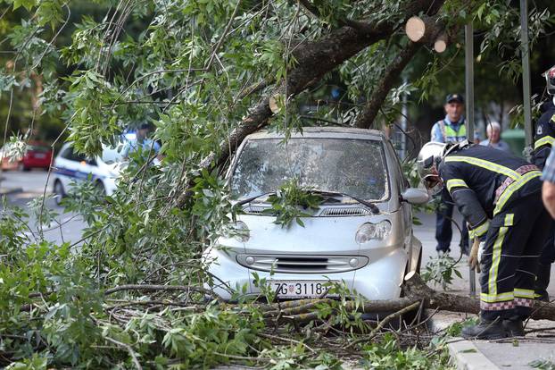 Zagreb: U Lastovskoj ulici pala grana na automobil i oÅ¡tetila ga, intervenirali vatrogasci