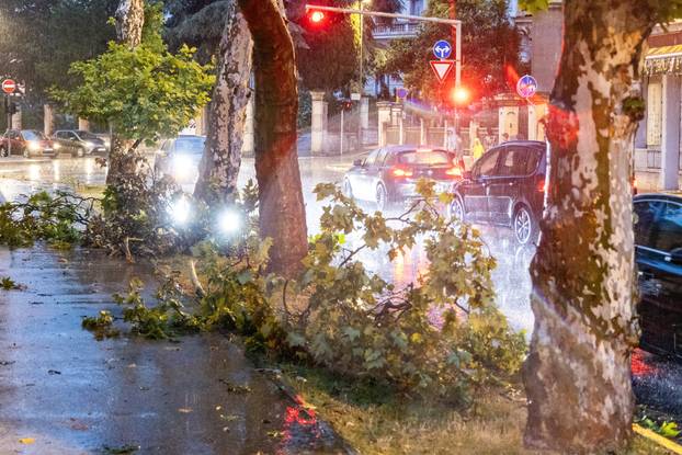 Olujno nevrijeme rušilo stabla u Puli