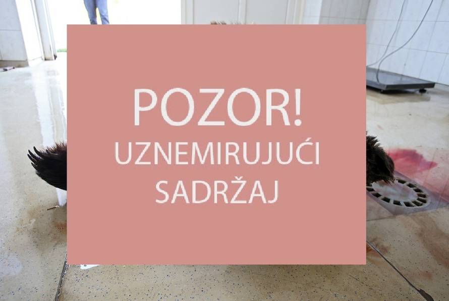 Jurica Galoić/PIXSELL