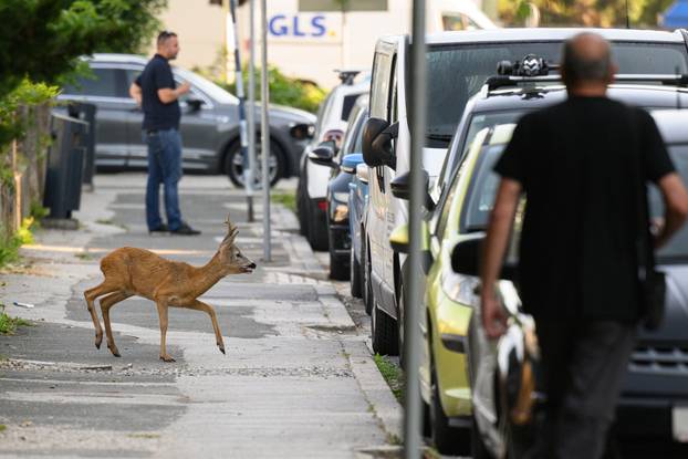 TOP 100 fotografija u 2024. godini
 
