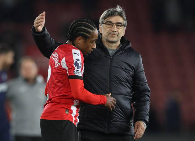 Premier League - Southampton v Crystal Palace