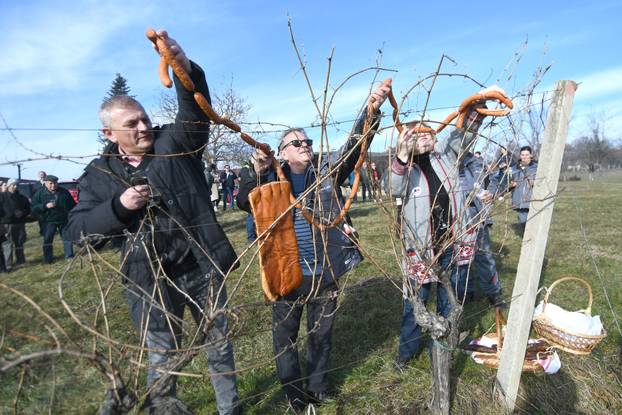 Tradicionalna proslava Vincekova u organizaciji Grada Daruvara