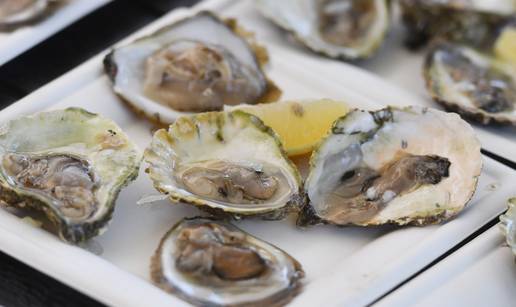 Kamenice su ba&scaron; na Sv. Josipa najbolje, najpunije i najukusnije