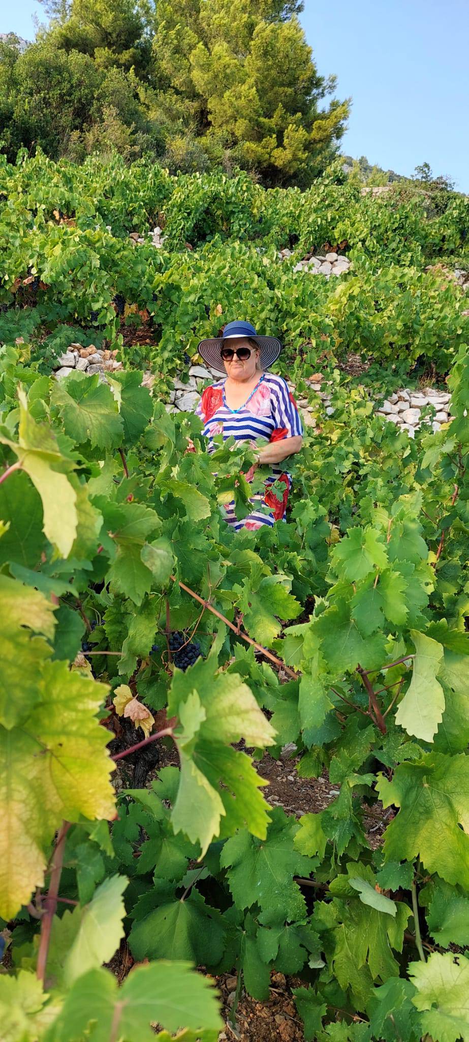 Upoznajmo žene vinarke Hrvatske