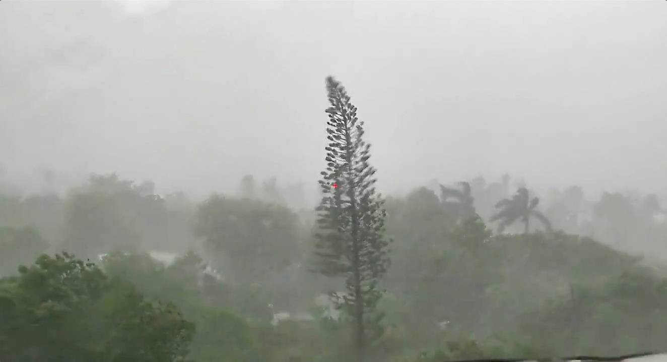 Trees sway amid rainfall and wind as Tropical Storm Elsa strengthened into a Category 1 hurricane as it makes its way through Key West, Florida