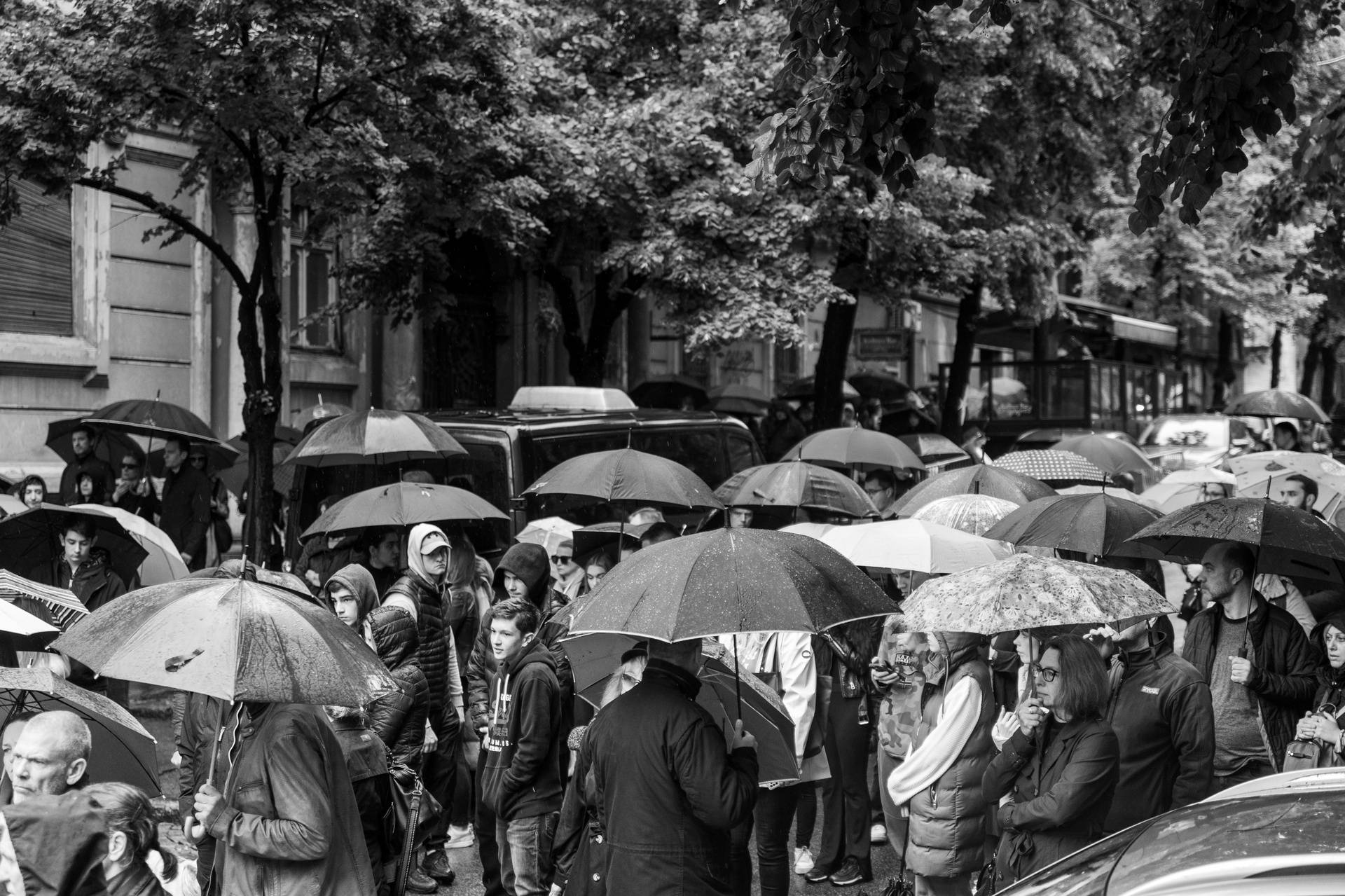 U Beogradu se obilježava godina dana od stravičnog masovnog ubojstva u OŠ 'Vladislav Ribnikar'