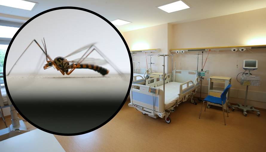 Groznica Zapadnog Nila je i kod nas: Ovo su najčešći simptomi