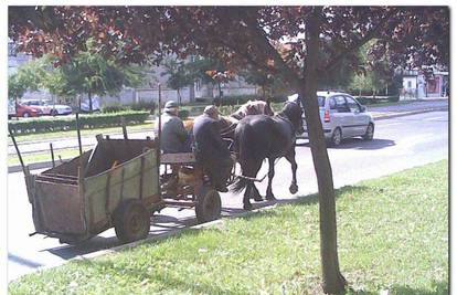 Konjska zaprega za vrijeme špice u Zagrebu 
