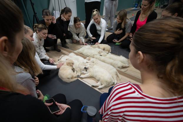 24SATA Paw Yoga, inovativni koncept joge koji je stigao u Hrvatsku