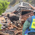VIDEO Spasioci u Japanu utrkuju se s vremenom i pokušavaju pronaći ljude u ruševinama