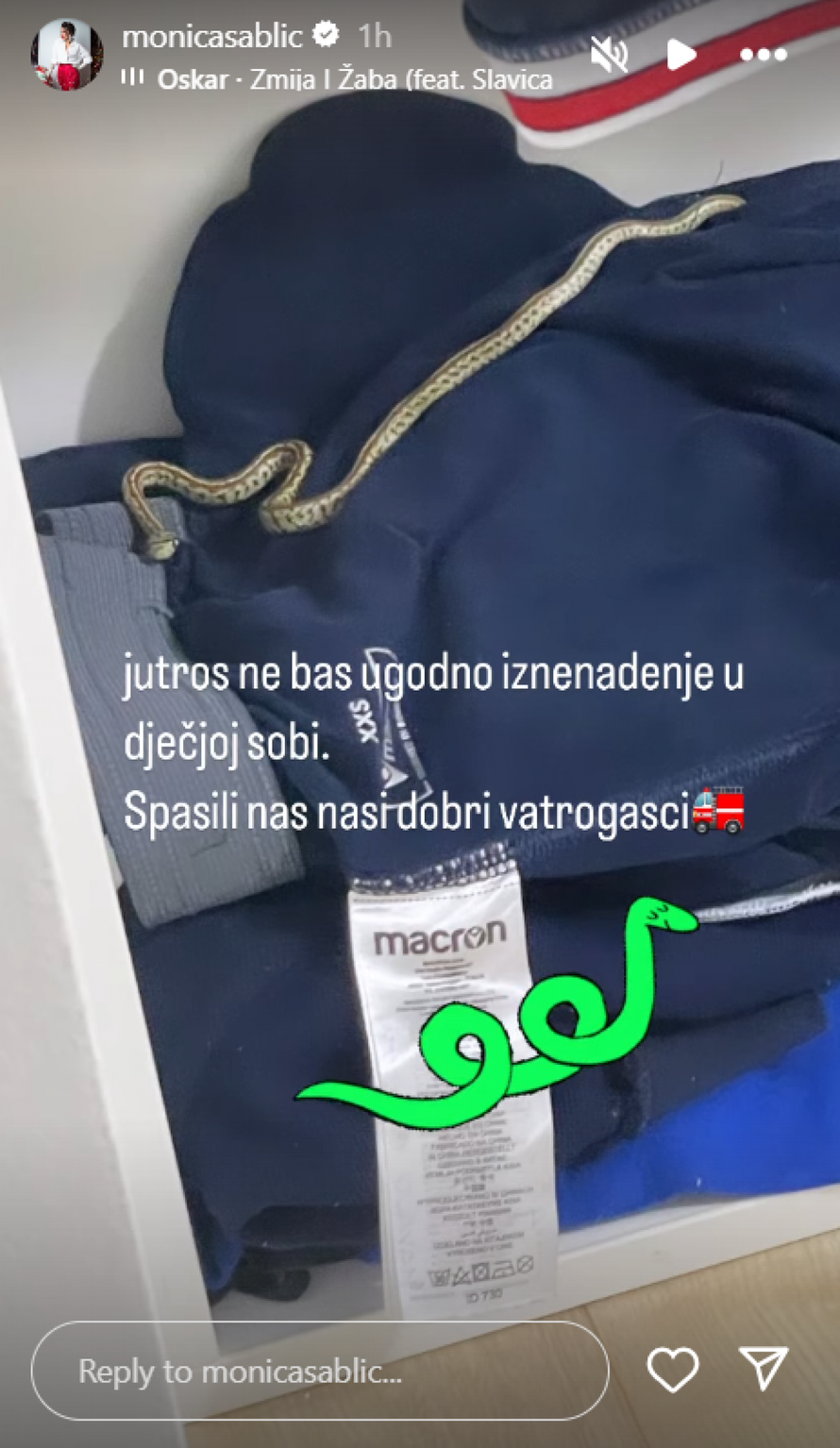 Splitskoj dizajnerici zmija ušla u kuću: 'Spasili su nas vatrogasci'