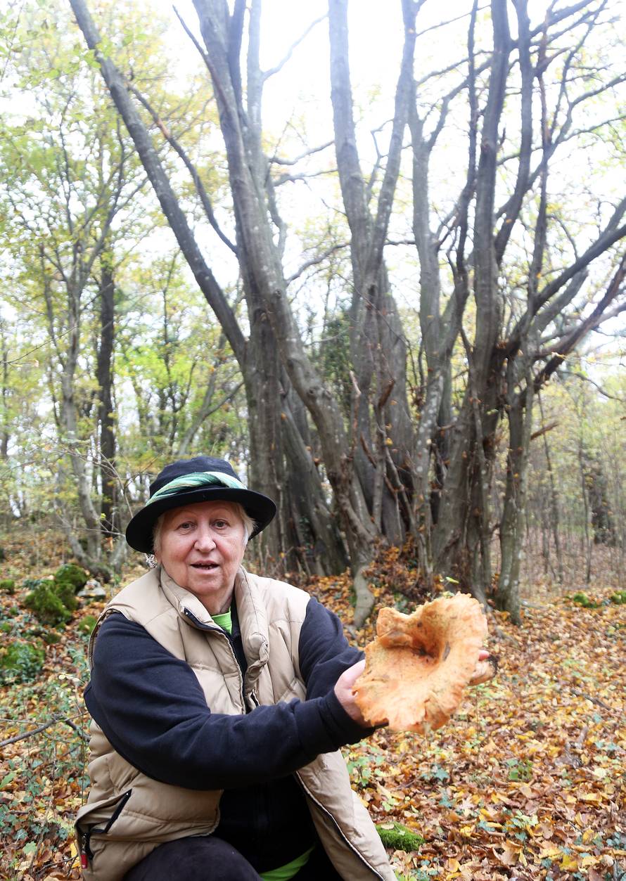 'Gljive mogu biti kobne. Spasila sam već najmanje 40 života... '