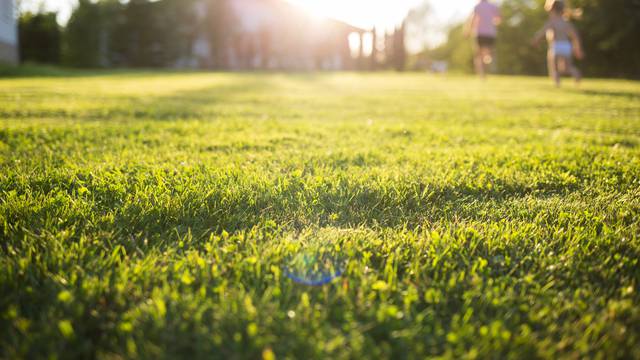 lawn at home. running children in blur. On a Sunny summer day.