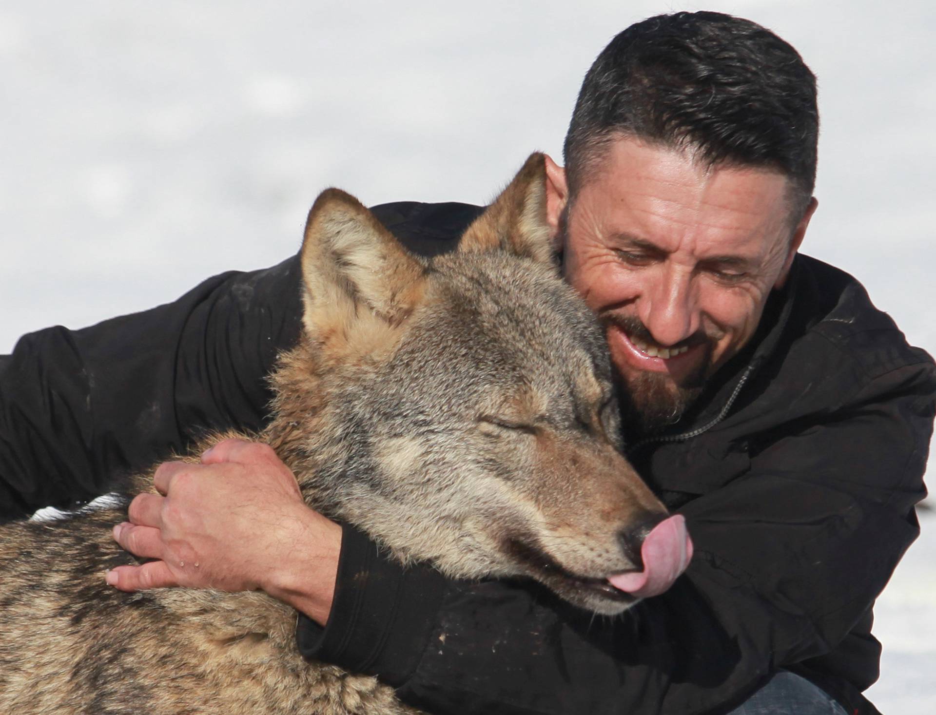 Hysni Rexha plays with his wolf Trump in Gjakova