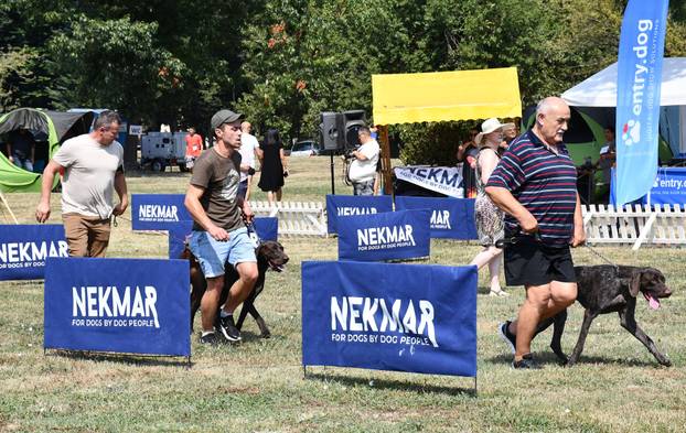 Požega: Nacionalna izložba pasa "CAC Požega 2024."