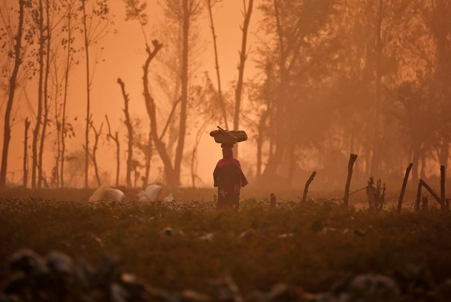 A woman carries a basket on her head through a field of vegetables on a foggy morning on the outskirts of Srinagar