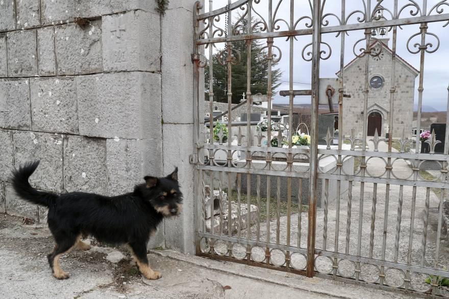 [TOP 3 VIJESTI DANA] Hrvatski Hachiko, pas Bruno na grobu vlasnika &ccaron;eka svaki dan: &lsquo;Cijelo ga selo hrani i voli'