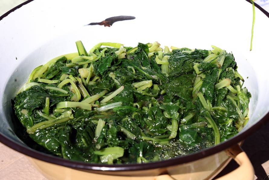 Vodice:Tradicionalni prvosvibanjski piknik u Rakitnici,spremanje divljeg zelja i pulente.