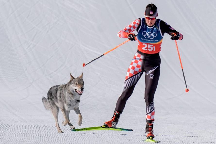 Val di Fiemme, Italy 20260218. A dog runs next to Tena Hadzic from Croatia during the cross-country team sprint on Lago di Tesero during the Winter Olympics in Milano Cortina 2026. Photo: Terje Pedersen / NTB   This text is auto translated