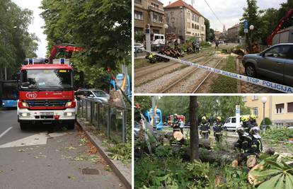 Nesreća u centru Zagreba: 'Palo je stablo i ozlijedilo jednu ženu'