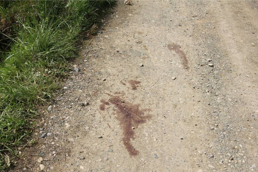 Jeza kod Banja Luke: 'Na cesti je trag krvi, ne spavamo noću'