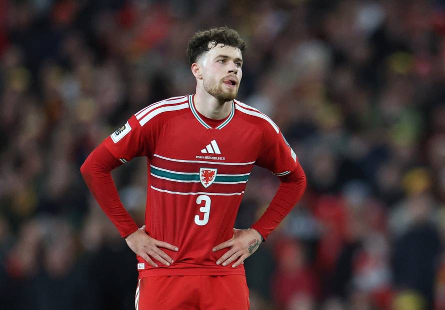 FIFA World Cup - UEFA Qualifiers - Semi Final - Wales v Bosnia and Herzegovina